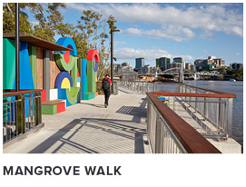 mangrove walk